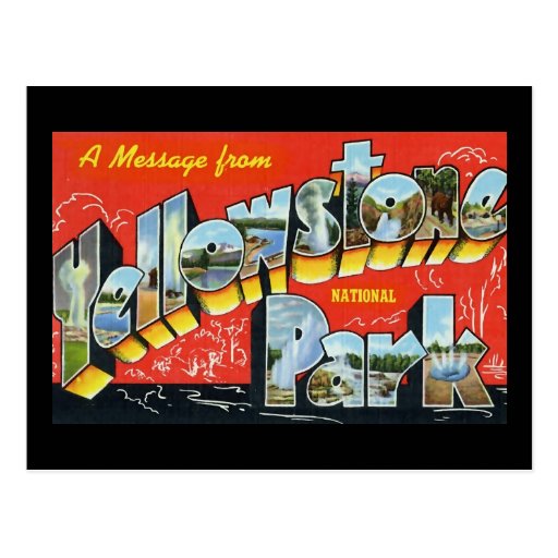 A Message from Yellowstone National Park Post Card