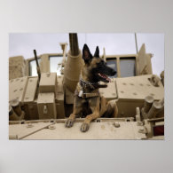 A military working dog sits on a M2A3 Print