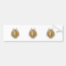 A Mite Bumper Stickers