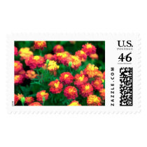 A Mob of Marigolds postage by EHPlesser A Mob of Marigolds postage