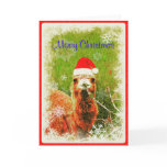 A "Mona the Camel" Holiday Cards