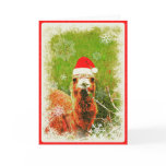 A "Mona the Camel" Holiday Cards