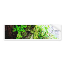 A Monks Shamrocks bumper stickers