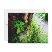 A Monks Shamrocks Custom Invitations