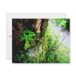 A Monks Shamrocks Custom Invitations