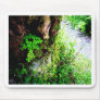 A Monks Shamrocks Mouse Pad
