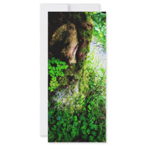 A Monks Shamrocks Rack Card Design