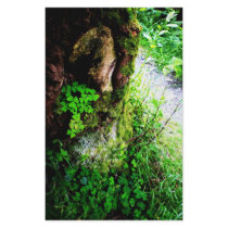 A Monks Shamrocks stationery
