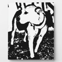 A monochromatic mixed breed Pitbull puppy dog Plaque