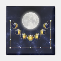 A Month in the Life of the Moon Magnet