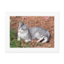 A Moon Cat PostCard by ZazzleGalleries A Moon Cat PostCard