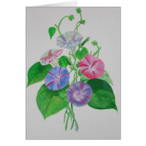 A Morning Glory Cards