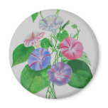 A Morning Glory Fridge Magnet
