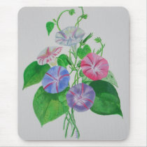A Morning Glory Mouse Pads