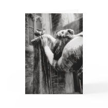 A Mother's Grief cards
