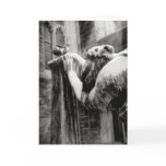 A Mother's Grief cards