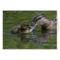 A Mother's Love cards by Welshpixels A Mother's Love cards
