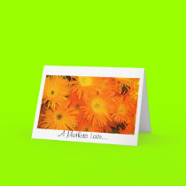 A Mothers Love cards