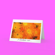 A Mothers Love cards