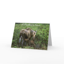 A Mother's Love cards by lethanaylor24 A Mother's Love cards