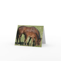 A Mothers Love Cards