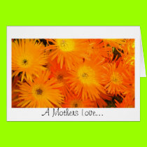 A Mothers Love cards