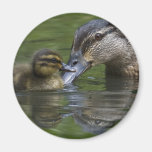 A Mother's Love Fridge Magnet