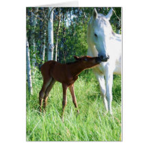 A Mother's Love Greeting Card