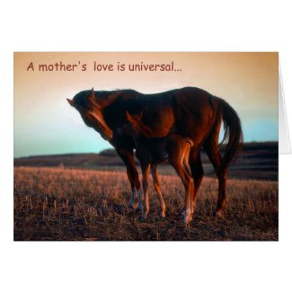 A mother's love greeting cards