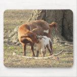 A Mother's Love Mouse Pads