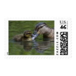 A Mother's Love postage
