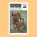 A Mother's Love postage by pattiabram A Mother's Love postage
