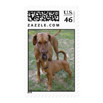 A Mother's Love postage by pattiabram A Mother's Love postage