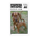 A Mother's Love postage
