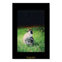 A Mother's Love posters
