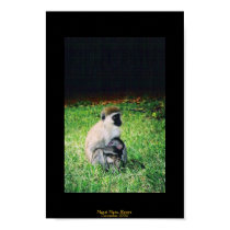 A Mother's Love posters