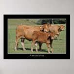 A mother's love print