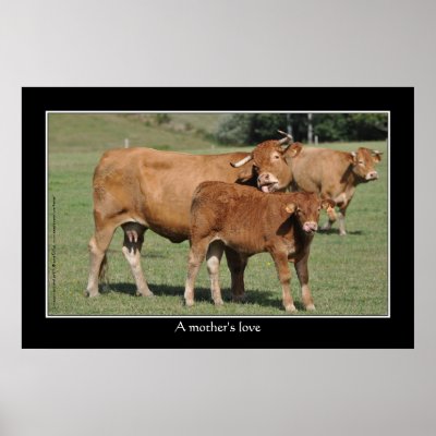 A mother's love print by ruralfrance