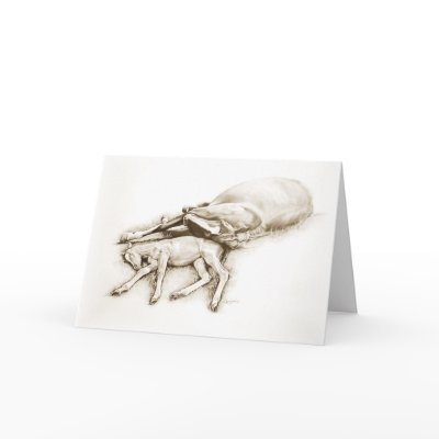 "A Mother's Love" Sleeping Mare and Foal greeting  Greeting Card by Spaziani