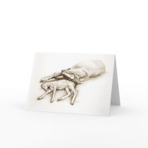 "A Mother's Love" Sleeping Mare and Foal greeting  cards