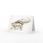 "A Mother's Love" Sleeping Mare and Foal greeting  cards