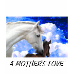 A MOTHER'S LOVE T-SHIRTS