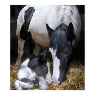A Mother's Way Art print