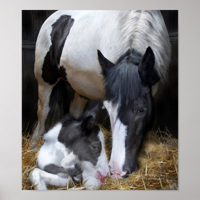A Mother's Way Art Poster by romanceworks