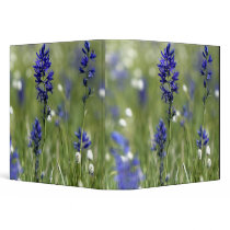 A mountain meadow of wildflowers including binders