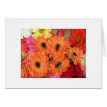 "A Multitude of Dahlias" Greeting Card