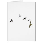 A Murder of Crows Card