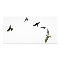A Murder of Crows Customized Photo Card