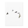 A Murder of Crows Postcard