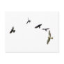 A Murder of Crows Postcards